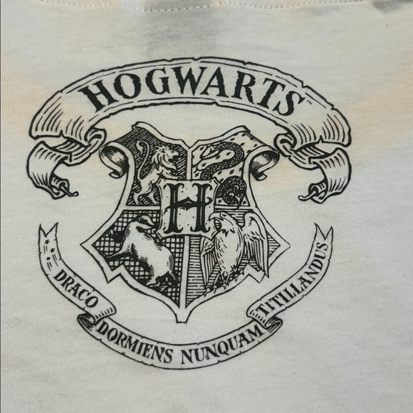 Harry Potter Hufflepuff x Toronto Blue Jays T Shirt Size XL Limited Edition - Picture 6 of 11